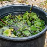 Gießen Sie damit jede Blume und selbst die schwächste erwacht zum Leben