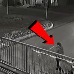 STANIJA DOBILA ŠUT KARTU OD ASMINA: Evo gde je i s kim provodi vreme oženjeni dečko nakon skandala…