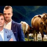 Elmedin Karic Bosanski sultan prodaje privatni profil na TikToku.Pogledajte cijenu