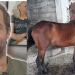 Bosanski sultan optuzio Memu  da ga tjera da snima klipove.On me je obavezao ugovorom !?