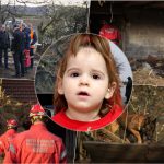Nova SOK informacija.Pretrazuje se zemlja oko Dankine kuce.Sumnja se da su je zakopali blizu kuce.Psi tragaci stigli